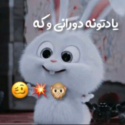 عکس یادتونه زمانی رو که........🙂