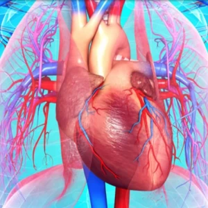 عکس ایا ممکن است هنگام خواب دچار  سکته قلبی شویم ؟