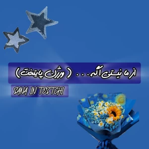 عکس از ما نیستی اگه... ( پایتخت ورژن)