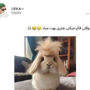 عکس یه میم مون نشه؟p4