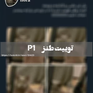 عکس توییت طنز P1..!