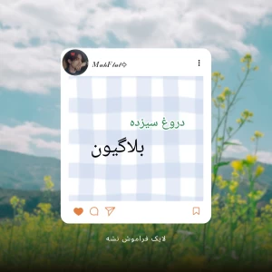 عکس دروغ سیزده بلاگیون