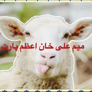 عکس میم علی خان اعظم پارت۱