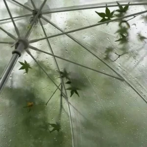عکس پری زندگی