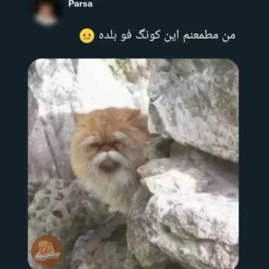 عکس مقداری توییت با طعم سم ۴۹