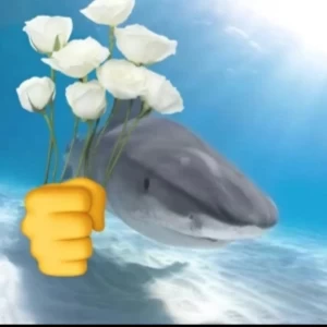 عکس شهربازی متروکه پارت 3