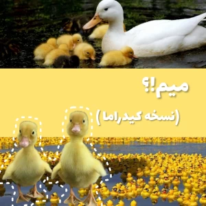 عکس میم کیدراما