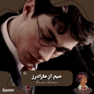 عکس میم از غارتگران