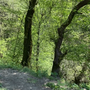 عکس افسانه ی روستای مردکتان
