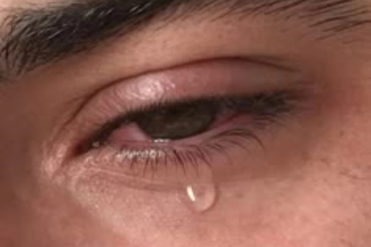 چشم هایی که دیدند..