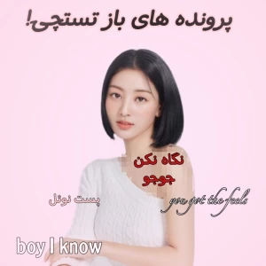 عکس پرونده های باز تستچی!