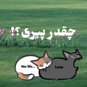 عکس شما پیر هستید؟ p¹