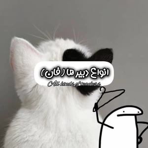 عکس انواع دبیر ها (فان)