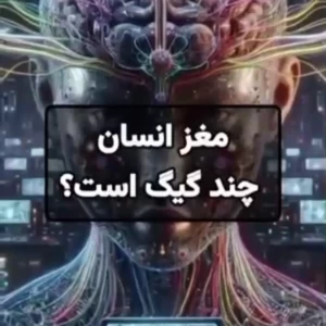 عکس مغز انسان چند گیگ است ؟