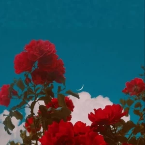 عکس بیو من