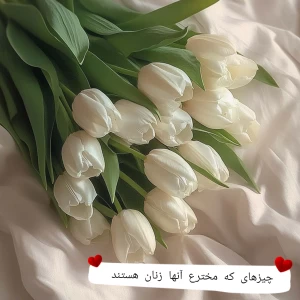 عکس چیز های که مخترع آنها زنان هستند