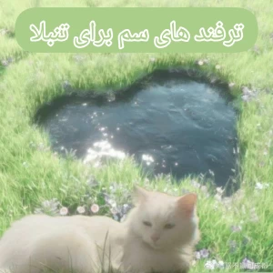 عکس ایده های سم برای تنبلا