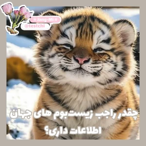 عکس چقدر راجب زیست بوم های جهان اطلاعات داری؟