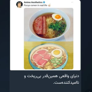 عکس مقداری توییت با طعم پیتزا ۶