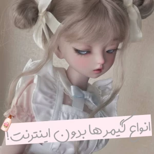 عکس انواع گیمر ها بدون اینترنت!