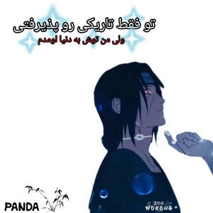 عکس تو فقط تاریکی رو پذیرفتی....