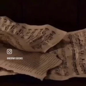 عکس جهان لی باردوگو : به کتردام خوش آمدید!