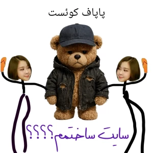 عکس یک سایت برا خودم ساختم؟
