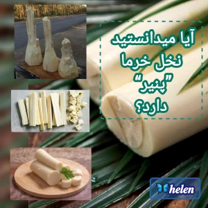 عکس پنیر نخل خرما؟