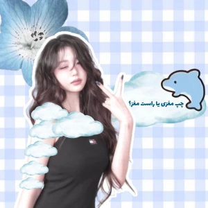 عکس چپ مغزی یا راست مغز