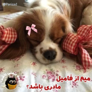 عکس خانواده مادریم core :