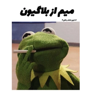 عکس میم از بلاگیون؟!