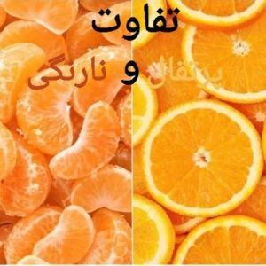 عکس فرق نارنگی و پرتقال