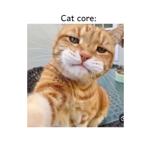 عکس پیشی core: