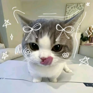 عکس اون کی بود؟My Bio ٭