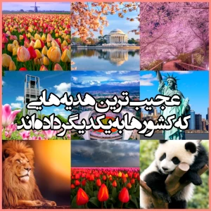 عکس عجیب ترین هدیه هایی که کشورها به یکدیگر داده‌اند
