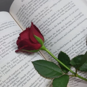 عکس چقدر اهل مطالعه‌ای؟