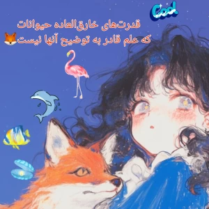 عکس علم هنوز در حسرت این قدرت‌های فرابشری است