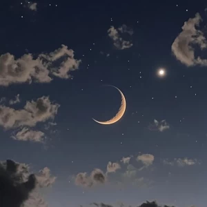 عکس هر تایپ تو چه کاری خوبه؟