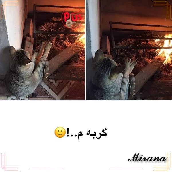 عکس
