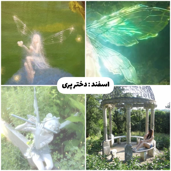 عکس