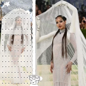 عکس بررسی مت گالا 2026