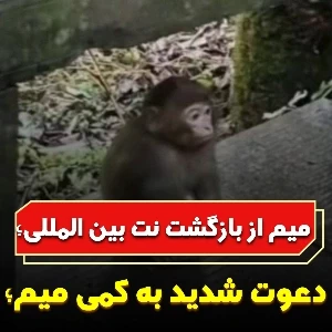 عکس میم از بازگشت نت بین المللی؛
