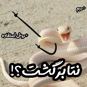 عکس نت‌بین‌الملل وصل شد!!؟ نحوه اتصال+میم