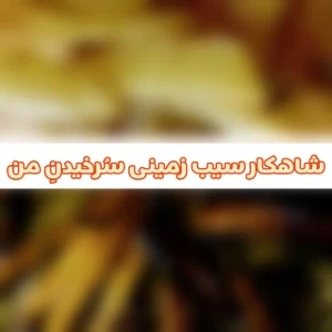 عکس شاهکار سیب زمینی سُرخیدنِ من