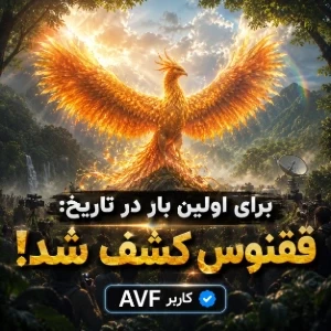 عکس برای اولین بار در تاریخ بشریت: ققنوس دیده شد!
