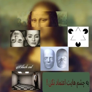عکس ۶ خطای دید ساده اما عجیب انسان !
