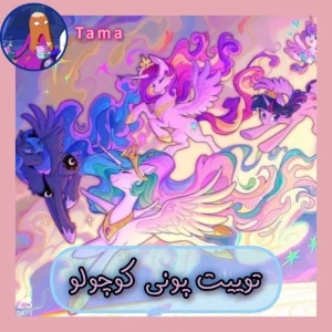 تست توییت پونی